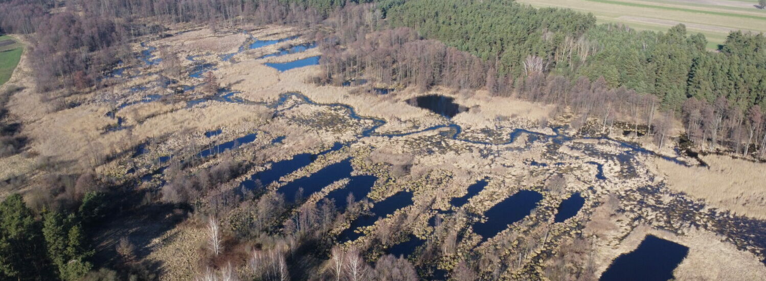 Zwolenka.PL